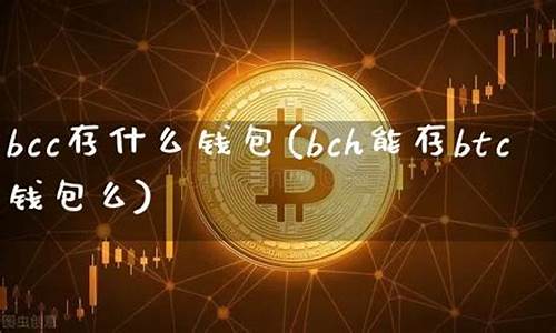 哪款钱包能存btc(钱包哪款牌子比较好)